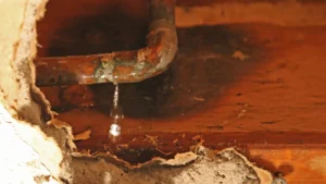Water backing up into a shower drain from clogged sewer line